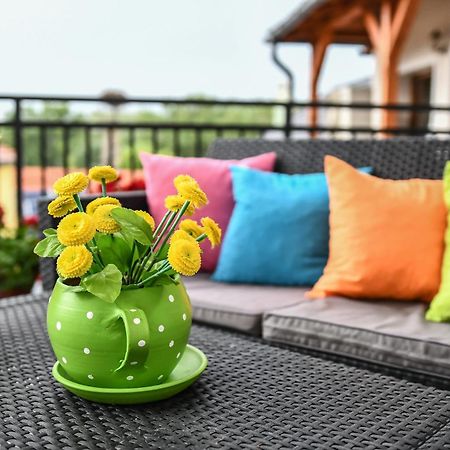 Bed and Breakfast E-Vasko Panzio Borpince Токай Экстерьер фото