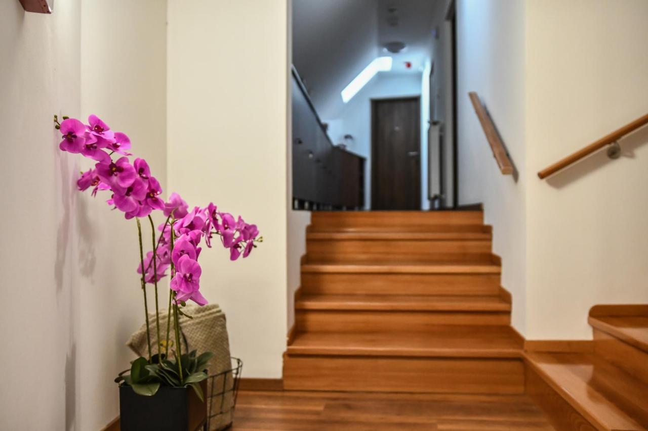 Bed and Breakfast E-Vasko Panzio Borpince Токай Экстерьер фото